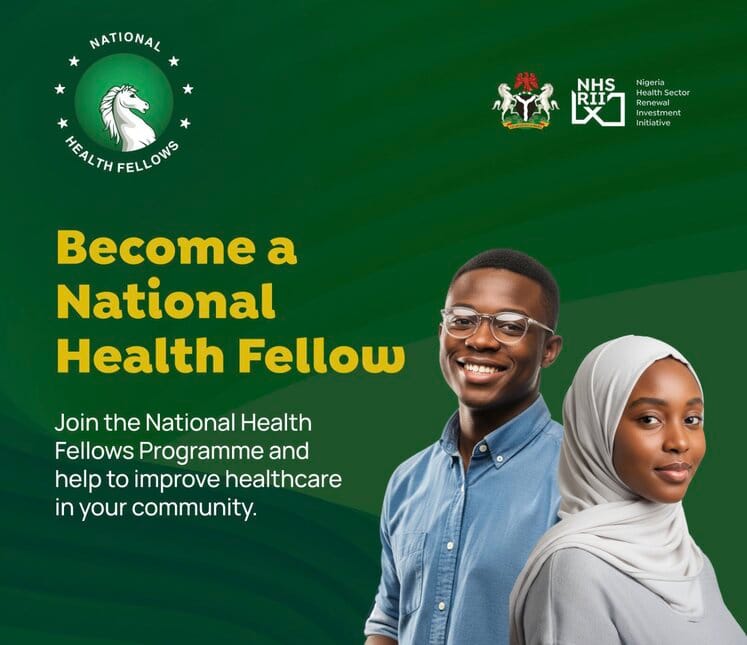Federal Government National Health Fellows Program 2026 For Nigerians ...